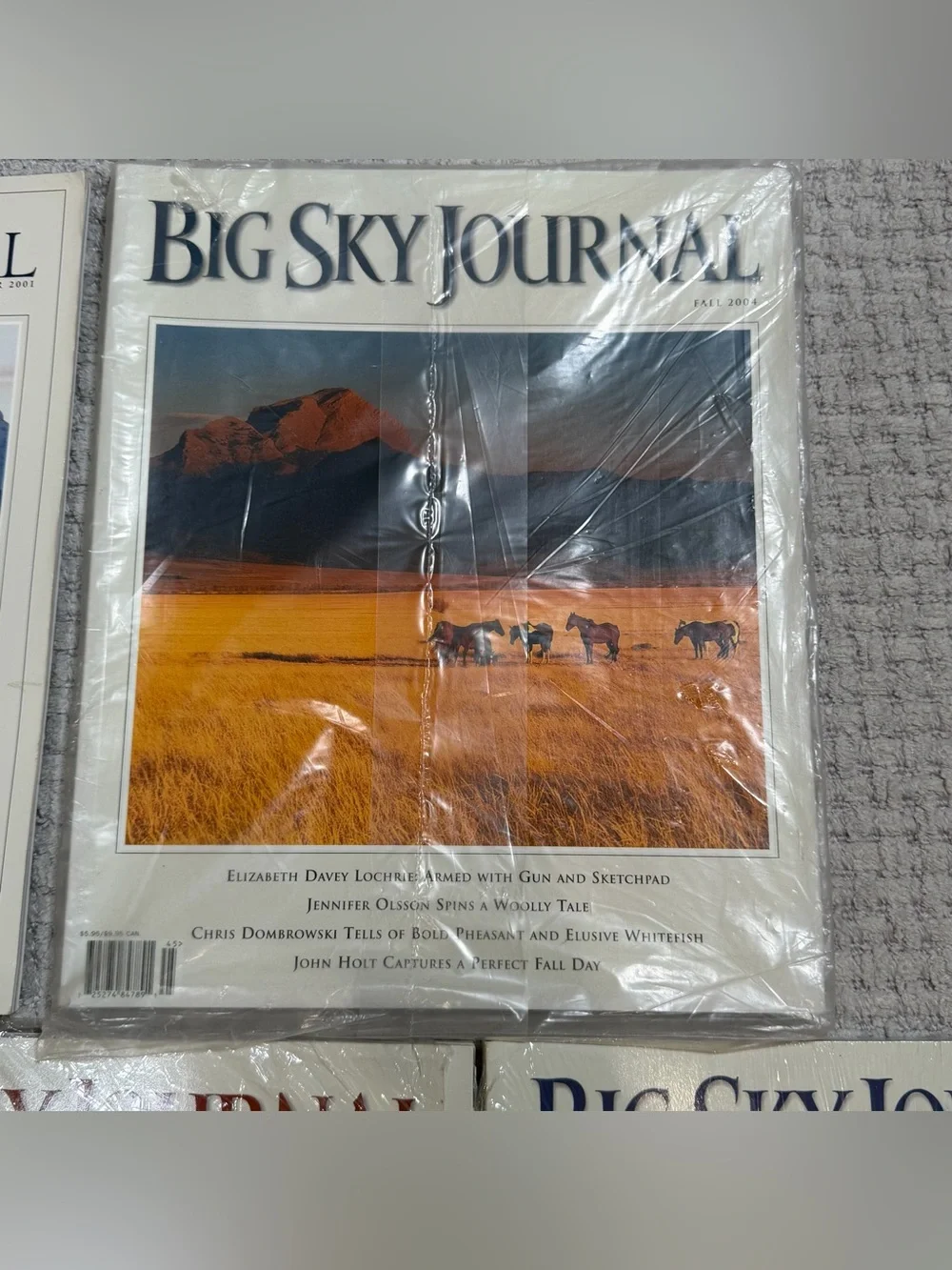 Vintage big sky